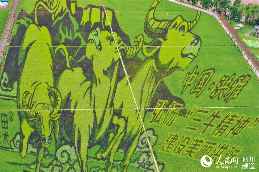 ˇg(sh)(hu)ţҦz