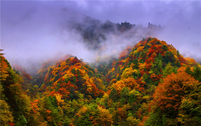 ʰߔ̷ɫĴʡÏdD