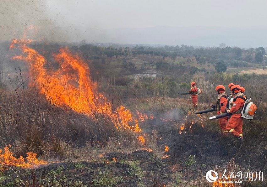 ɶɭ(du)ԮˆTM(jn)М(yng)ݾSz