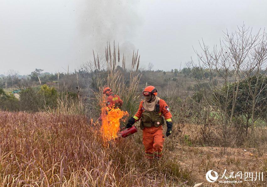 ɶɭ(du)ԮˆTM(jn)М(yng)ݾSz