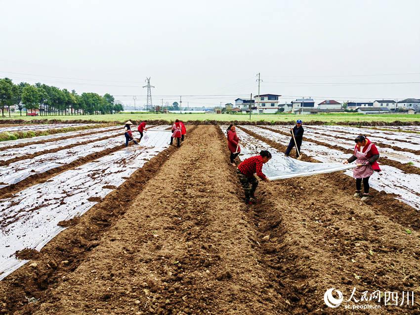 ߲˻wĤʂNֲ߲揊z