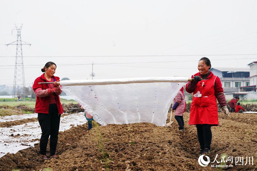 ߲˻wĤ(zhn)Nֲ߲ˡ揊(qing)z