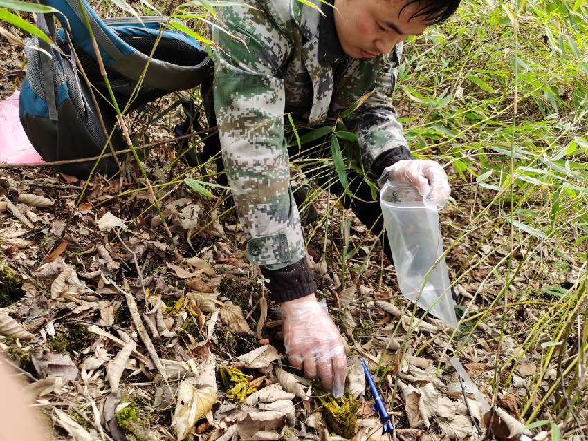 Sȡӡ؈(gu)ҹ@ĴVԪƼҺӹD