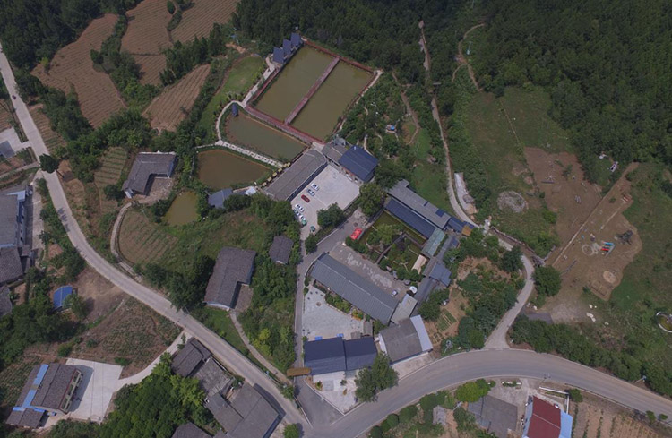 老村委會改建的“金色家園”農(nóng)家樂。劍閣縣融媒體中心供圖