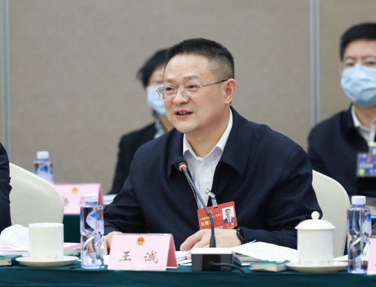 全國(guó)人大代表王誠(chéng)。四川能投供圖
