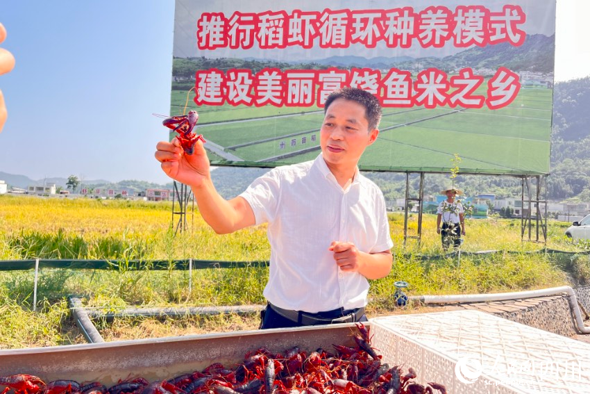 展示宜賓“早蝦”。人民網(wǎng)記者 朱虹攝