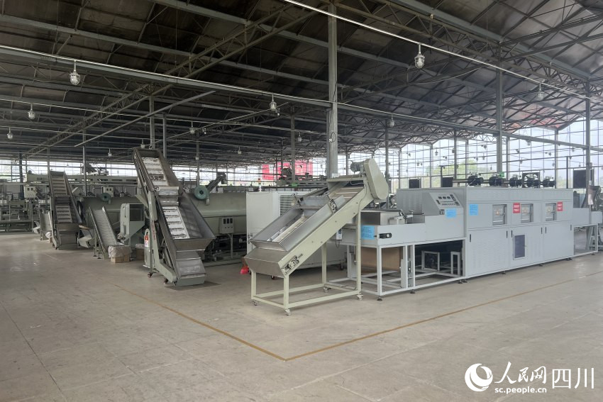 川茶集團茶葉生產(chǎn)車間。人民網(wǎng) 趙祖樂攝