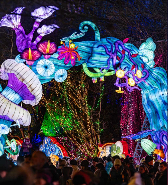 法國蒙托邦中國彩燈節(jié)現(xiàn)場。燈彩集團(tuán)供圖