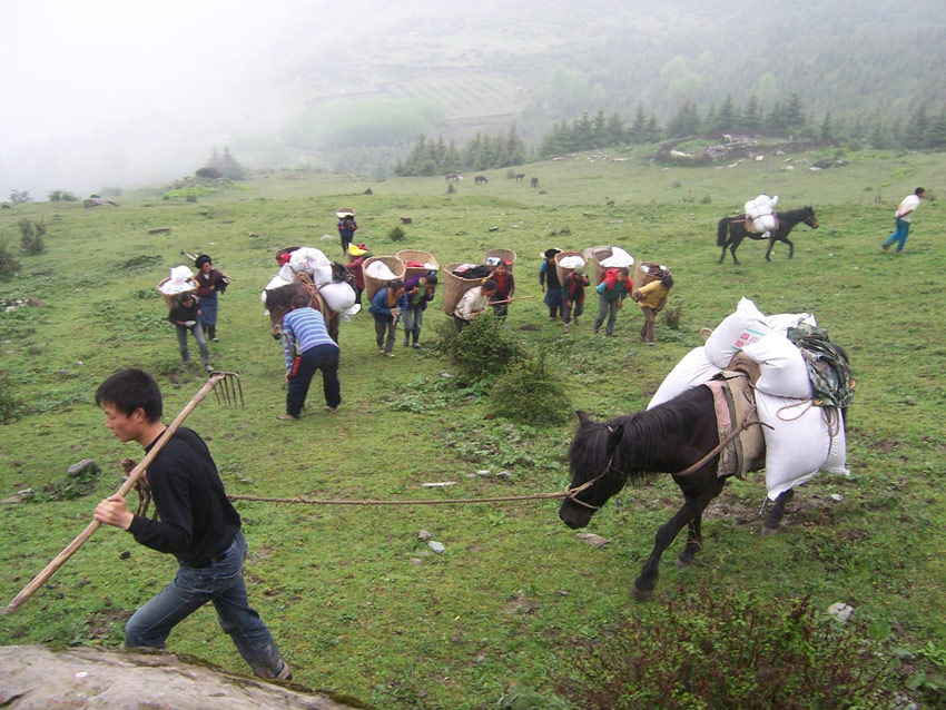 在黃河上游補(bǔ)播牧草。阿壩州委宣傳部供圖