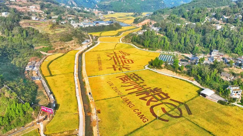 瀘州古藺縣2024年中國農民豐收節(jié)在皇華鎮(zhèn)“天府糧倉”示范園區(qū)開幕。李驍供圖
