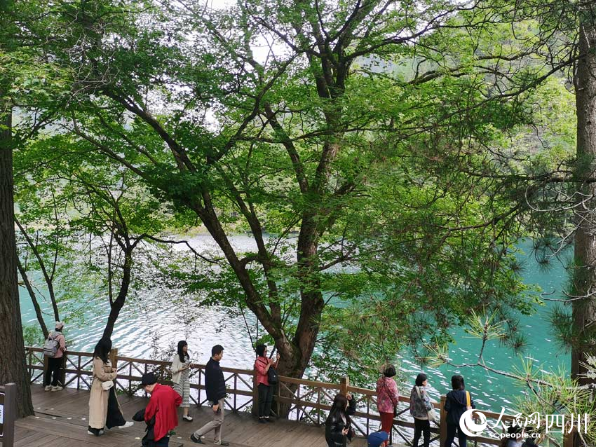 拉美媒體代表團(tuán)參訪九寨溝。人民網(wǎng)記者 劉海天攝