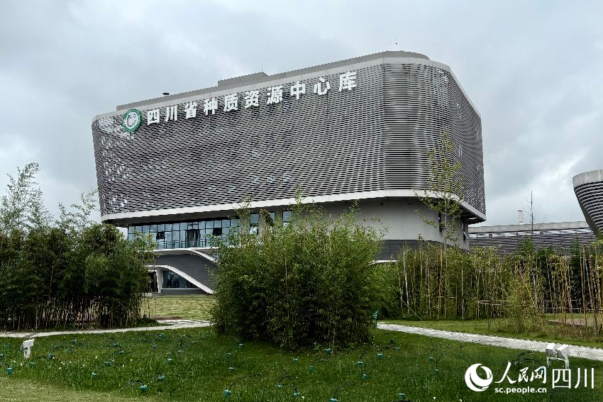 四川省種質資源中心庫正式全面運行。人民網(wǎng)記者 朱虹攝