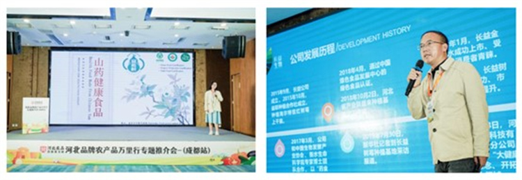 企業(yè)推介。主辦方供圖
