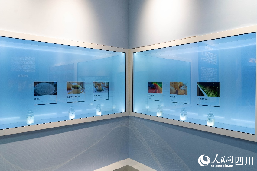 展示酪蛋白的不同用途。人民網(wǎng)記者 朱虹攝