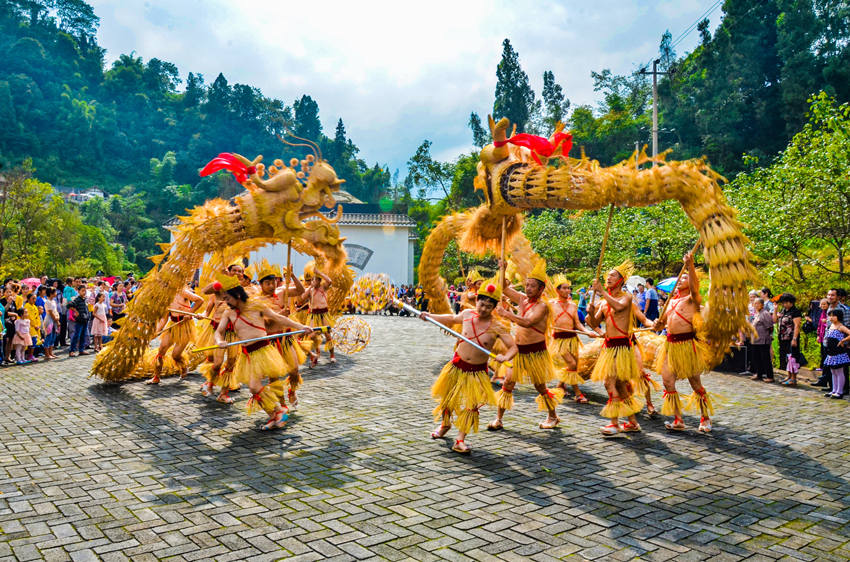 沐川草龍舞動(dòng)鄉(xiāng)野。孔勝攝