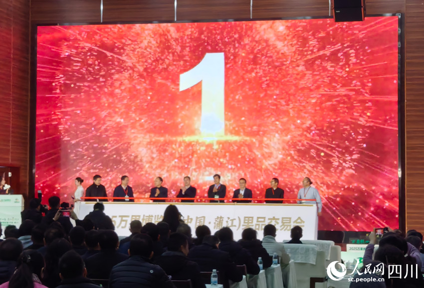 啟動儀式。人民網(wǎng)記者 劉海天攝