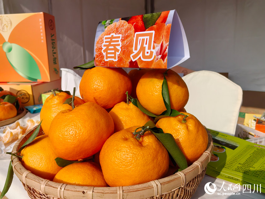 展會上展示的耙耙柑。人民網(wǎng)記者 劉海天攝