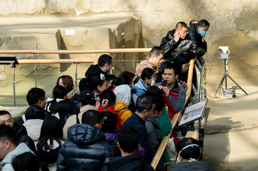 志愿者開展公益講解。金沙遺址博物館供圖