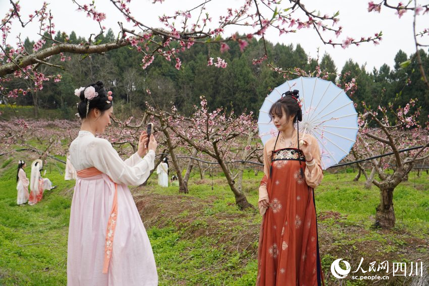 21日，古風愛好者身穿漢服在四川天府新區(qū)眉山片區(qū)貴平鎮(zhèn)龍江村桃花林里游玩拍照。人民網 趙祖樂攝