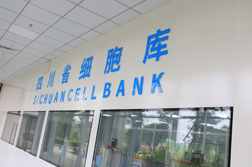 四川省細胞庫。受訪者供圖