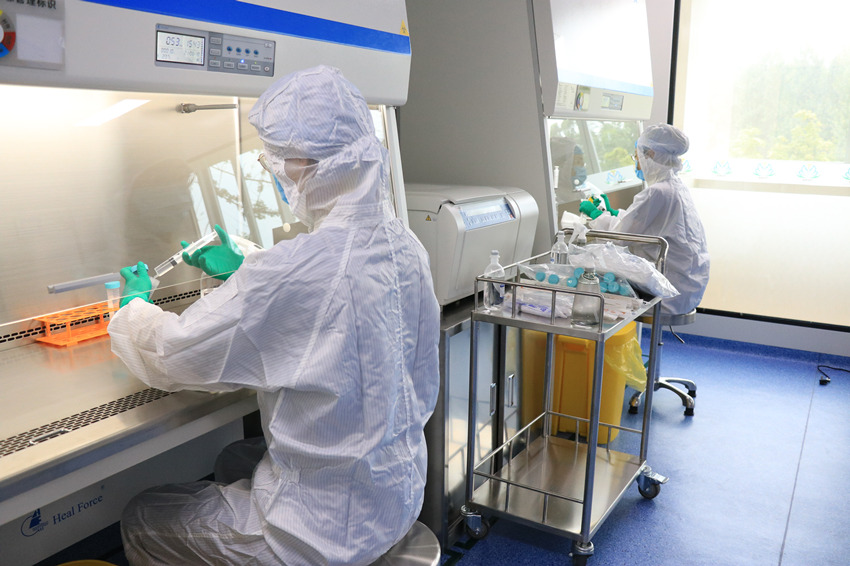 生產(chǎn)人員在細胞生產(chǎn)車間制備細胞。受訪者供圖