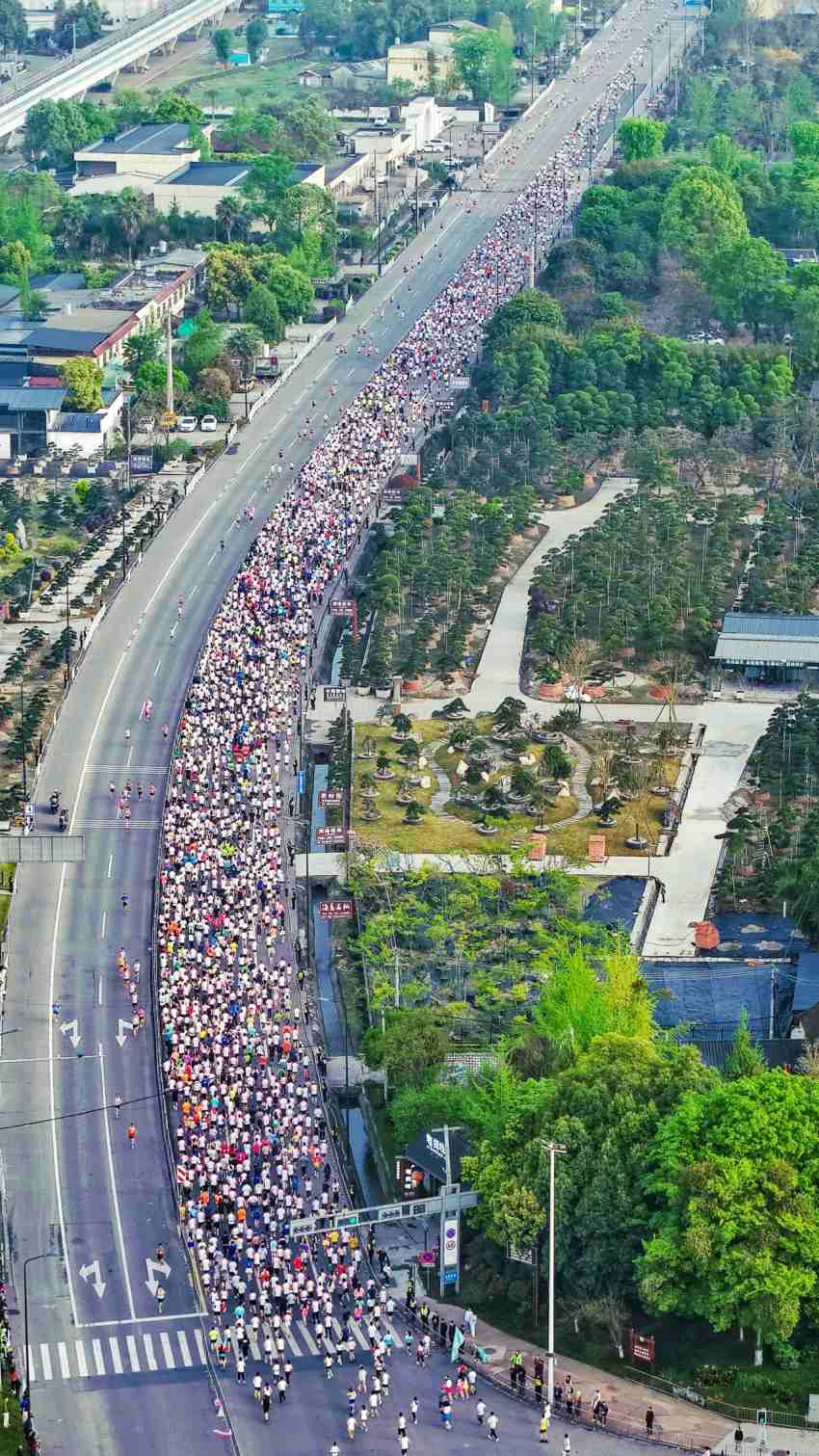 2025溫江半程馬拉松。溫江區(qū)委宣傳部供圖