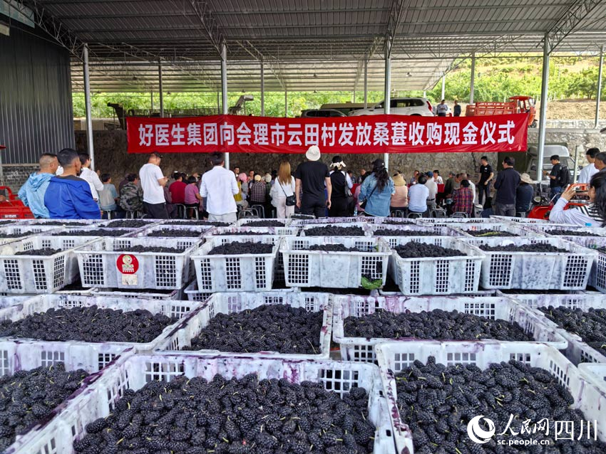 活動現(xiàn)場。人民網(wǎng)記者 劉海天攝