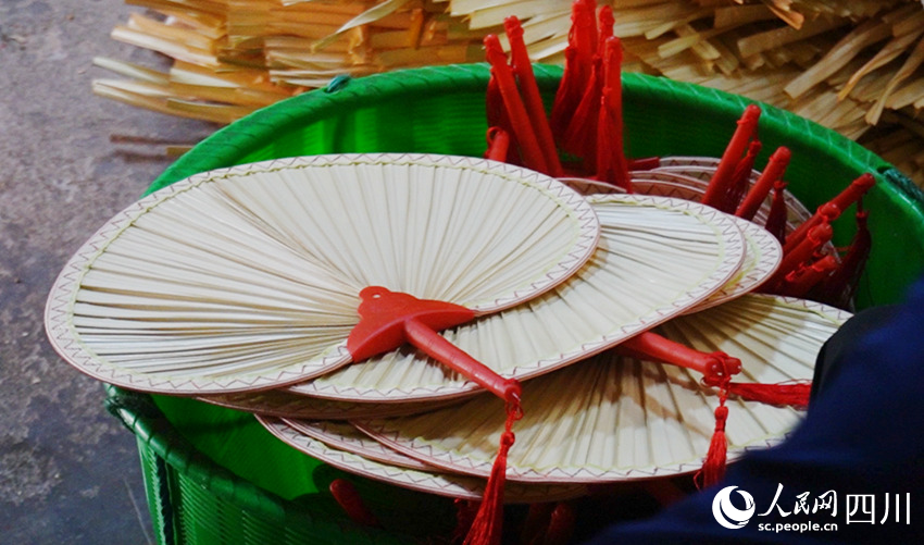 剛制作好的蒲扇。何佳倩攝