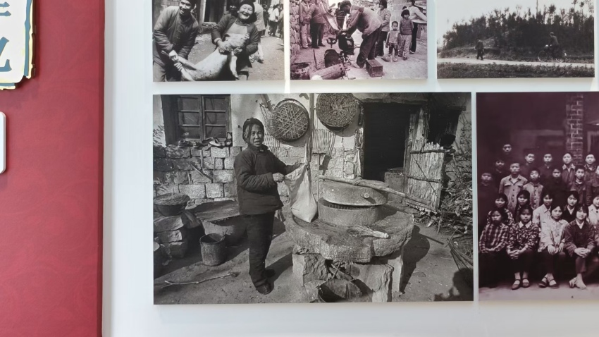 上世紀(jì)80年代的老照片。實(shí)習(xí)生唐藝娟攝