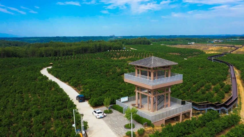 產(chǎn)業(yè)園區(qū)鳥(niǎo)瞰圖?；ㄇD鎮(zhèn)黨委供圖