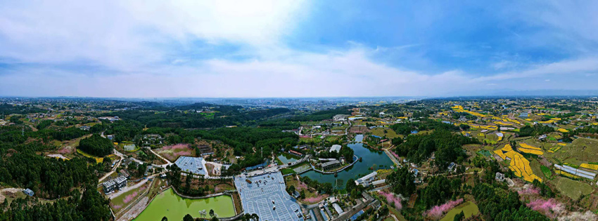 產(chǎn)業(yè)園區(qū)鳥(niǎo)瞰圖?；ㄇD鎮(zhèn)黨委供圖