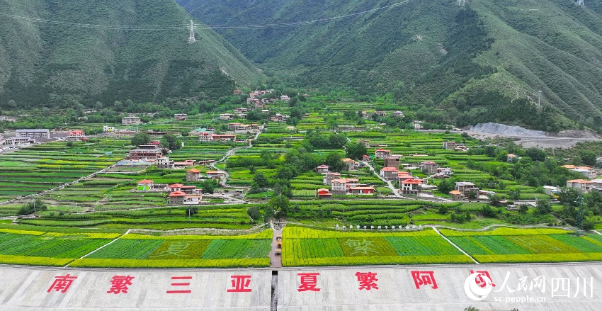 俯瞰夏繁高地。劉文佳攝