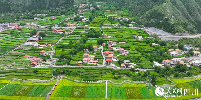 俯瞰夏繁高低。劉文佳攝