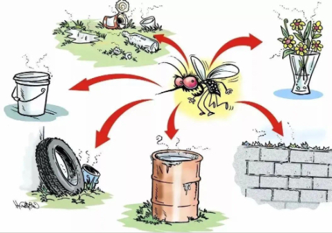 伊蚊潛在的孳生場(chǎng)所。汶川縣中醫(yī)醫(yī)院供圖