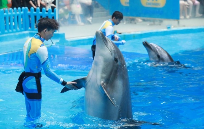 成都極地海洋公園：打造屬地主題的生活新聚點(diǎn)