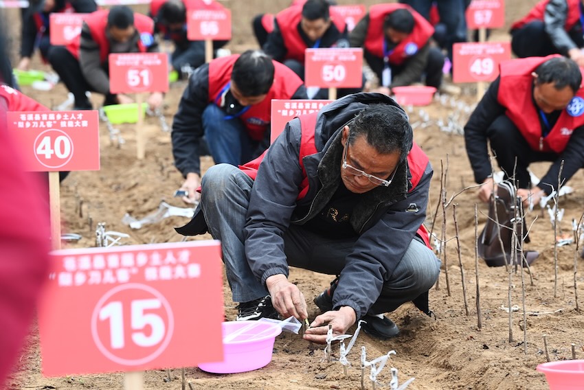 “梨鄉(xiāng)刀兒客”正在進(jìn)行技能比賽。蒼溪縣人社局供圖