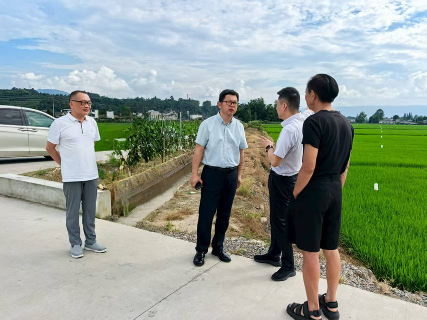 人民網(wǎng)四川頻道調(diào)研組調(diào)研洪雅縣“天府糧倉”（示范片）建設(shè)工作。眉山市黨史和地方志編纂中心供圖