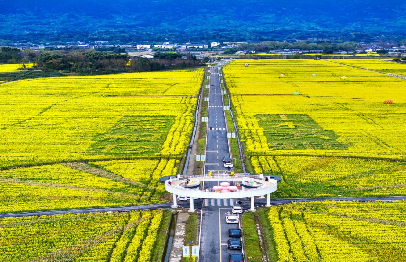 “天府糧倉”洪雅示范區(qū)柳江—東岳示范片。洪雅縣黨史和地方志編纂中心供圖