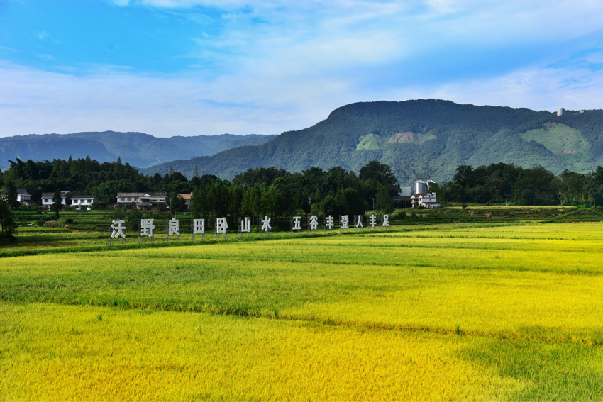 洪雅縣天府糧倉示范片。洪雅縣黨史和地方志編纂中心供圖