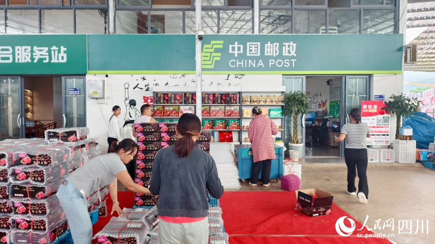 便捷的快遞水果專線為姜州石榴產(chǎn)業(yè)發(fā)展插上騰飛的翅膀。人民網(wǎng) 趙祖樂(lè)攝