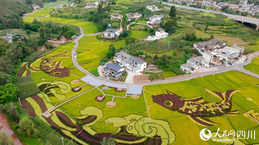 會東縣姜州田園綜合體中和村（部分）。人民網(wǎng) 趙祖樂攝