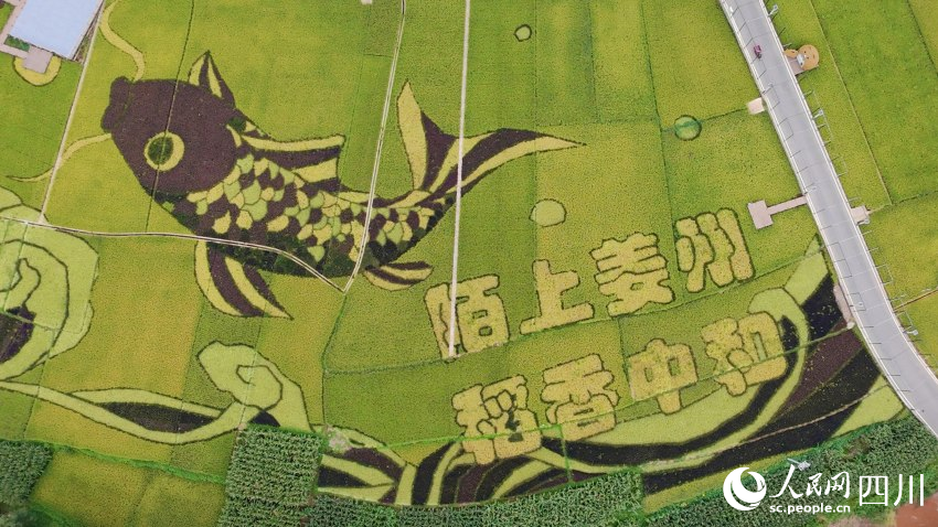 會東縣姜州田園綜合體中和村（部分）。人民網(wǎng) 趙祖樂攝