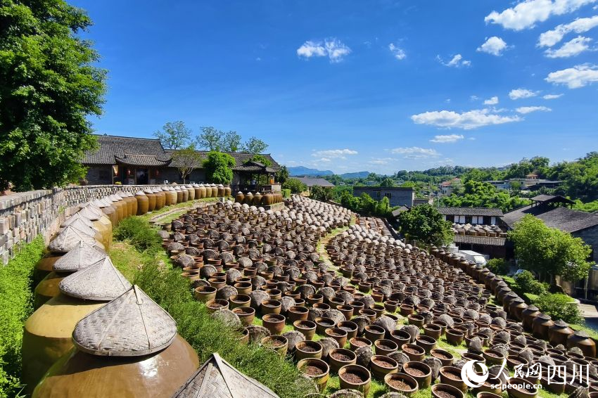 先市醬油赤水河莊園內(nèi)釀造醬油的陶缸整齊排列。人民網(wǎng) 趙祖樂攝