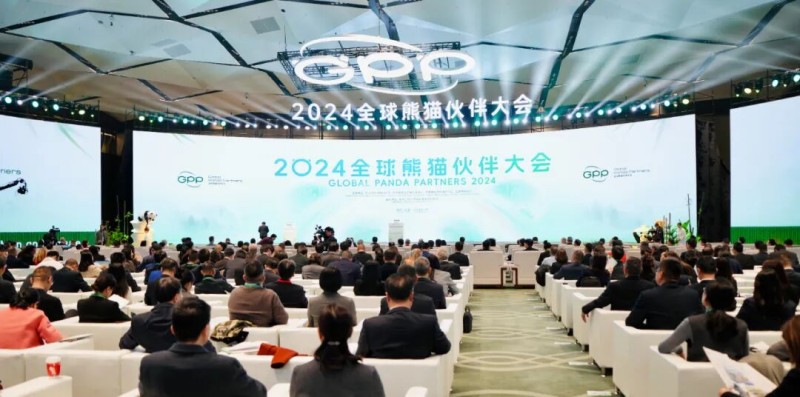 2024全球熊貓伙伴大會(huì)。達(dá)霄羽攝