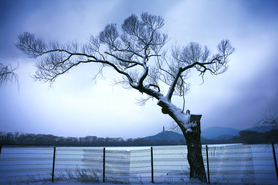 標(biāo)題標(biāo)題標(biāo)題標(biāo)題標(biāo)題標(biāo)題標(biāo)題標(biāo)題標(biāo)題標(biāo)題摘要摘要摘要摘要摘要摘要摘要摘要摘要摘要摘要摘要摘要摘要摘要摘要摘要摘要摘要摘要摘要摘要