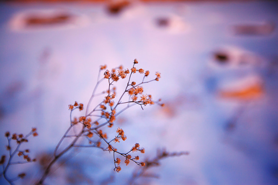 標(biāo)題標(biāo)題標(biāo)題標(biāo)題標(biāo)題標(biāo)題標(biāo)題標(biāo)題標(biāo)題標(biāo)題摘要摘要摘要摘要摘要摘要摘要摘要摘要摘要摘要摘要摘要摘要摘要摘要摘要摘要摘要摘要摘要摘要