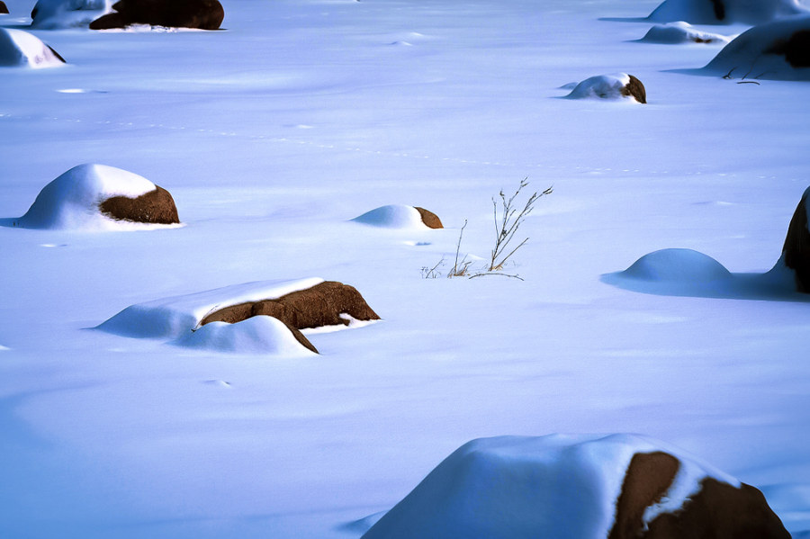 標(biāo)題標(biāo)題標(biāo)題標(biāo)題標(biāo)題標(biāo)題標(biāo)題標(biāo)題標(biāo)題摘要摘要摘要摘要摘要摘要摘要摘要摘要摘要摘要摘要摘要摘要摘要摘要摘要摘要摘要摘要摘要摘要摘要摘要