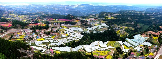 蒼溪黃貓埡農(nóng)文旅融合示范農(nóng)業(yè)園區(qū)。蒼溪縣委宣傳部供圖