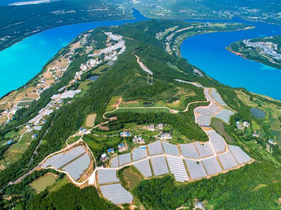 蒼溪亭子湖現(xiàn)代農(nóng)業(yè)園區(qū)。蒼溪縣委宣傳部供圖