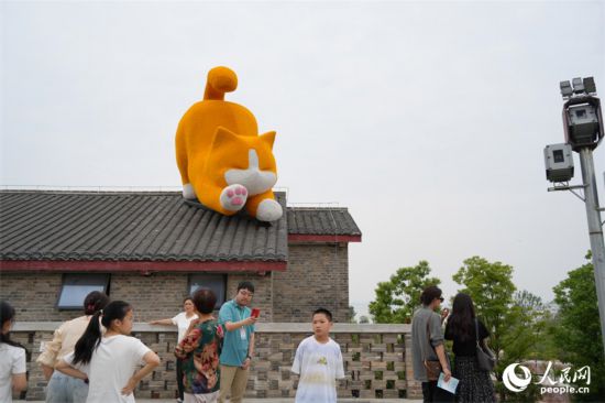 橘貓趴在屋頂憨態(tài)可掬。人民網(wǎng) 劉汕攝